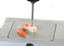 Attaches et outillages pour les essais de viandes, volailles et poissons