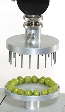 Attaches et outillages pour des essais de fruits et légumes